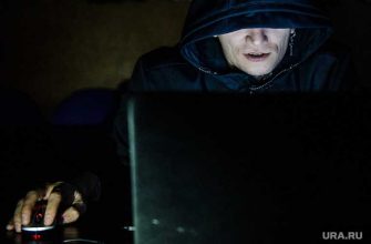 паспорта россияне голосование конституция утекли интернет открытый доступ