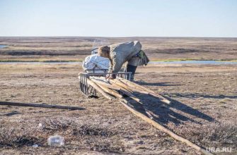 ЯНАО коронавирус распространение