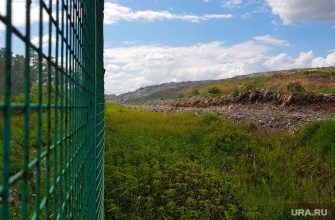 справедливая россия курган