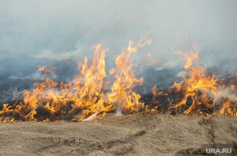 лесные пожары челябинская область