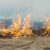 В Челябинской области бушуют лесные пожары. Положение осложнили туристы