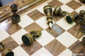 федерация шахмат