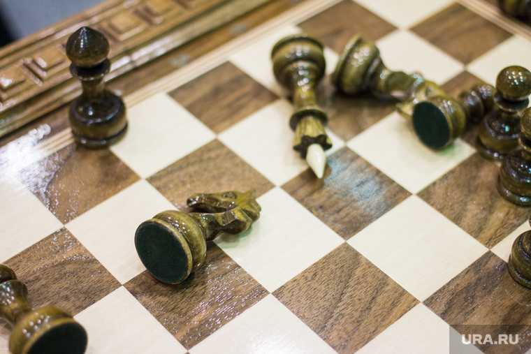 федерация шахмат