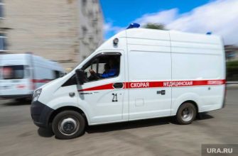 самоизоляция в Курганской области