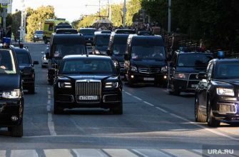 в области рекорд по стобалльникам