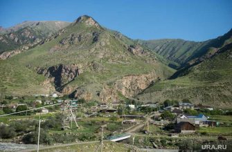 Россия самый малочисленный народ перепись населения