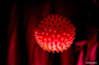 Коронавирус ковид вирус вьетнам аграновский роспотребнадзор