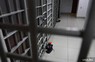 Челябинск ИВС женщина инвалид рак инфаркт инсульт полиция мошенничество