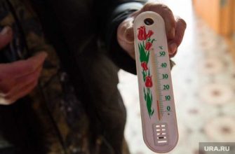 погода через 50 лет