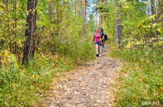 погода Челябинская область