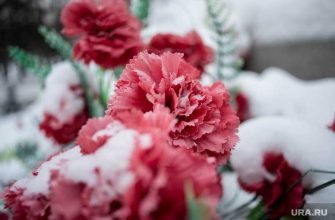 смерть солиста &laquo;Ласкового мая&raquo;