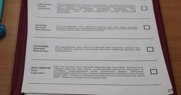 выборы пермский край