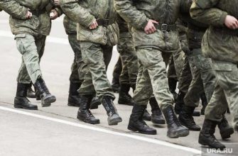 выборы 2020 год