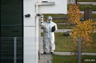 Челябинская область коронавирус статистика