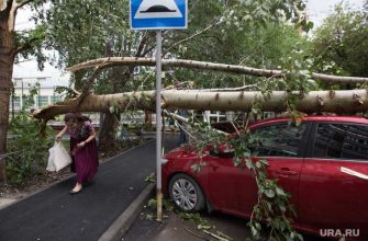 Свредловская область МЧС предупреждает буря