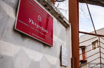 Уктусский пансионат принудительная стерилизация фиктивные услуги Дмитрий Ионин