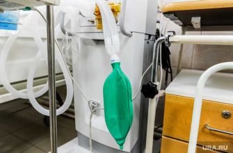 чемпионат по самбо екатеринбург