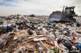 Российское экологическое движение Екатеринбург проверка прокуратура