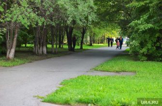 потепление в Кургане