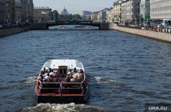 Санкт-Петербург расчлененка уралец расфасовал пакеты убийство