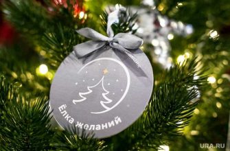 Единая Россия Елка желаний