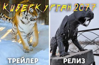 Курганская область новости