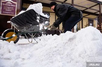 Гидрометцентр прогнозы погоды
