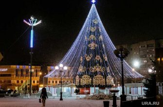 туристов в Тюмени будут контролировать