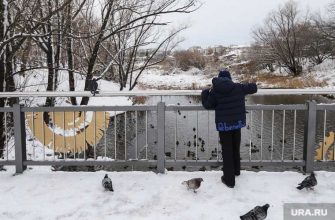 Погода в Курганской области