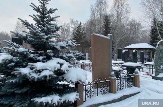 кладбище для животных