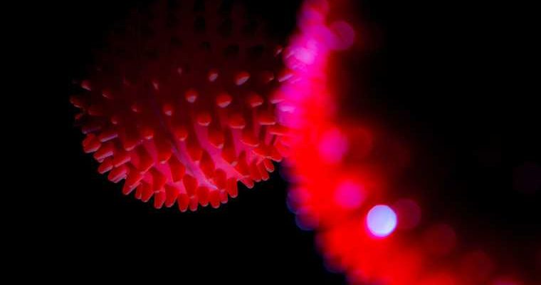 опасность нового штамма коронавируса