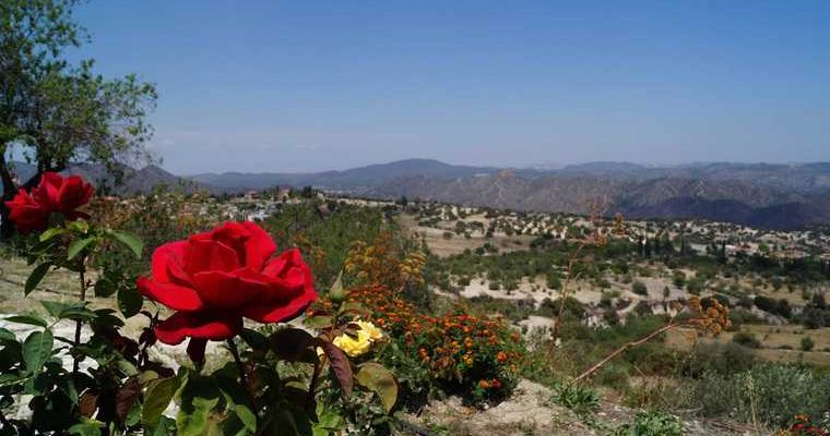 слетать на Кипр