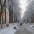 Коронавирус в Пермском крае: последние новости 18 января. Заболеваемость возросла, вуз отменяет карантин для преподавателей