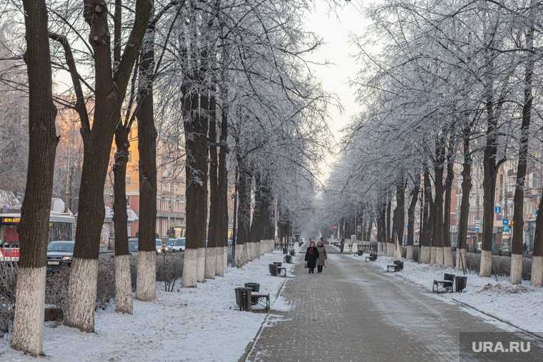 новости перми и пермского края