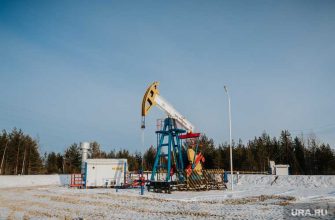 Российским нефтяникам посоветовали готовиться к новой реальности