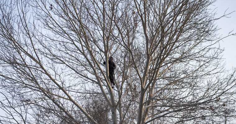 в ЯНАО никто не поддержал Навального