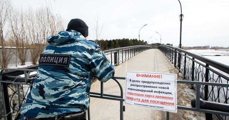 новости сургута