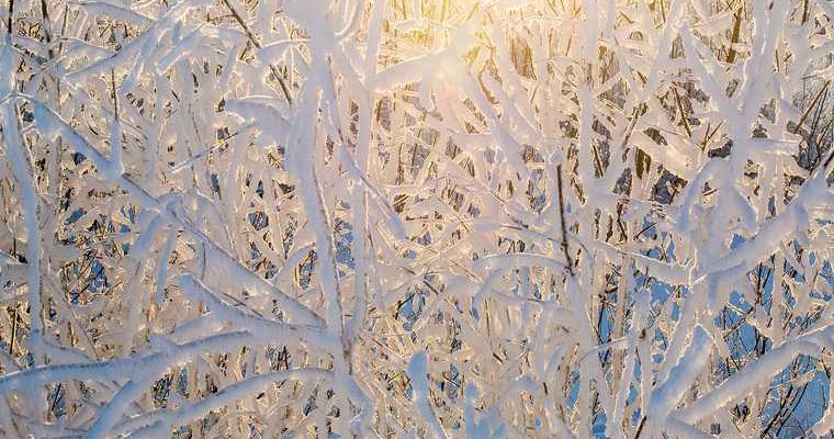 пережить холода лайфхак