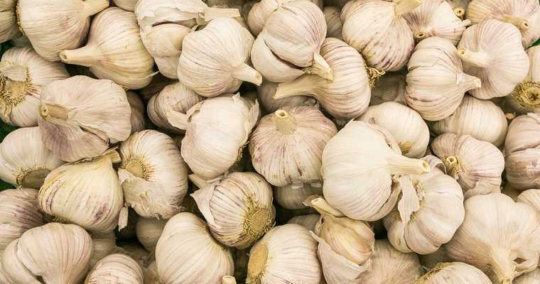 вред гомеопатии