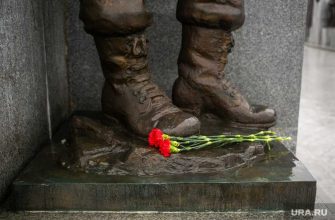 россияне погибшие военнослужащие помощь родственники семья государство социальная помощь
