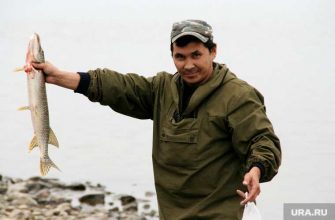 Жители Харпа согласны объединиться с Лабытнанги &mdash; замглавы Пуровского района уйдет в отставку &mdash; начата процедура поиска нового главы Шурышкарского района &mdash; сотни рыбаков рискуют остаться без работы. Все самые интересные и важные новости ЯНАО к утру 26 февраля &mdash; в обзоре URA.RU: