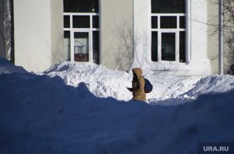 погода в москве