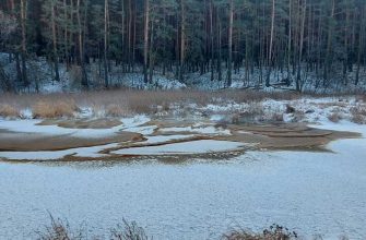 поселок белоярский мэр Андрей Горбов