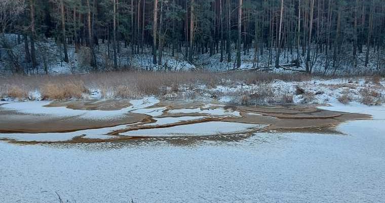 поселок белоярский мэр Андрей Горбов