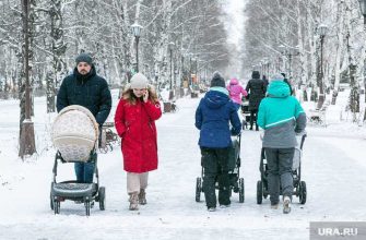 Экономисты инициатива Минтруда