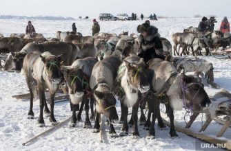 Праздник мероприятие