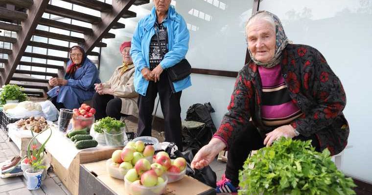 переобучение для предпенсионеров