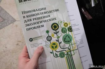 выращивание технической конопли