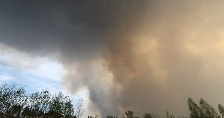 майские пожары Курганская область