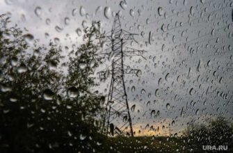 прогноз когда сажать в саду